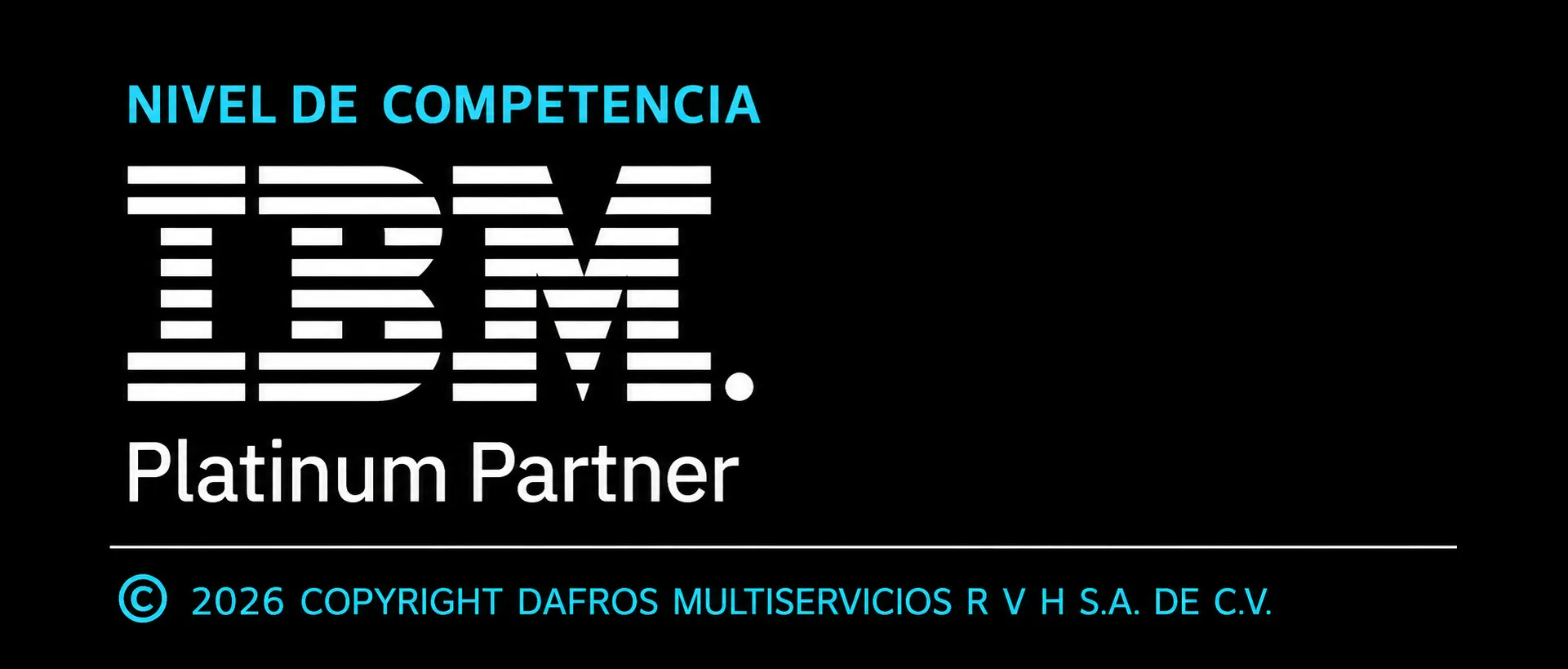 IBM Platinum Partner